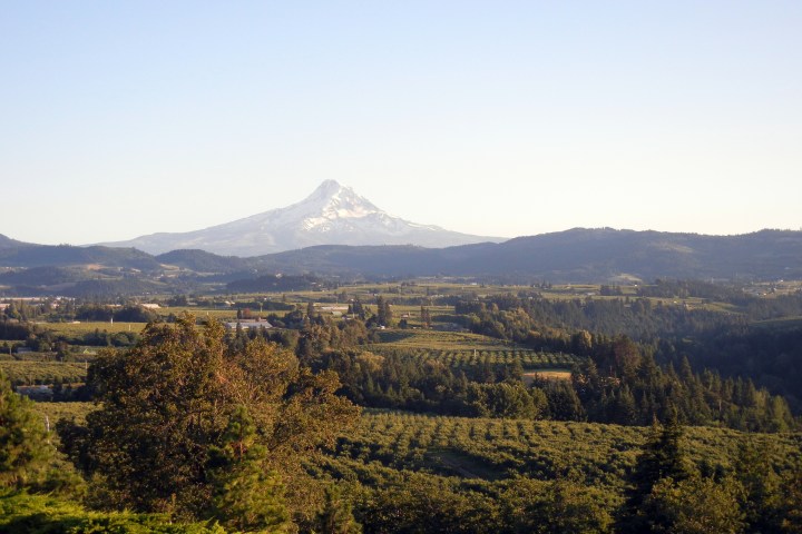 View of Mt. Hood near Hood River