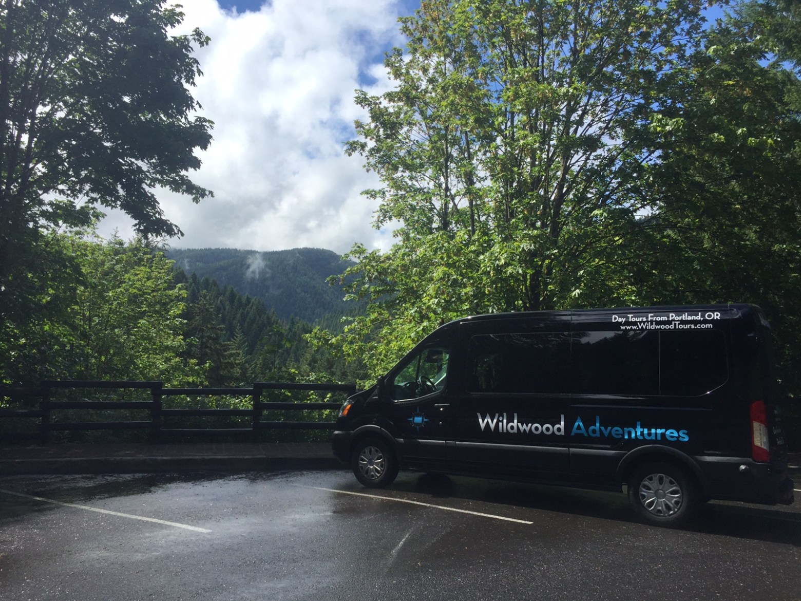Forest views from Wildwood Adventures tour vehicle