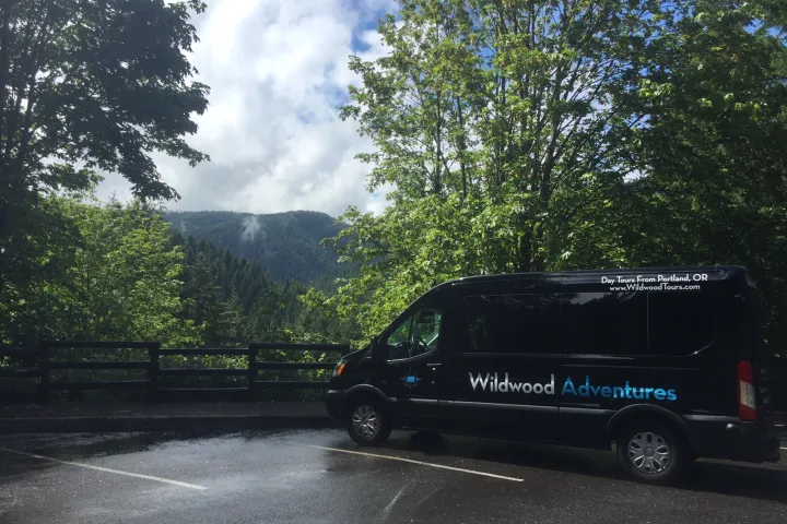 Forest views from Wildwood Adventures tour vehicle
