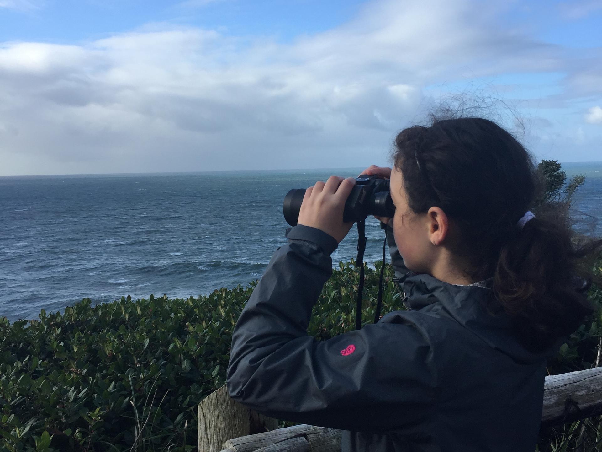 Finding whales on the Oregon Coast Tour