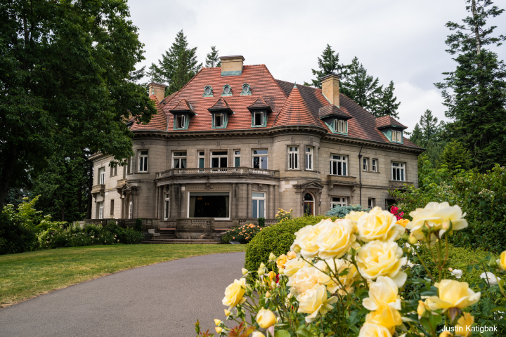 large estate with yellow flowers in foreground