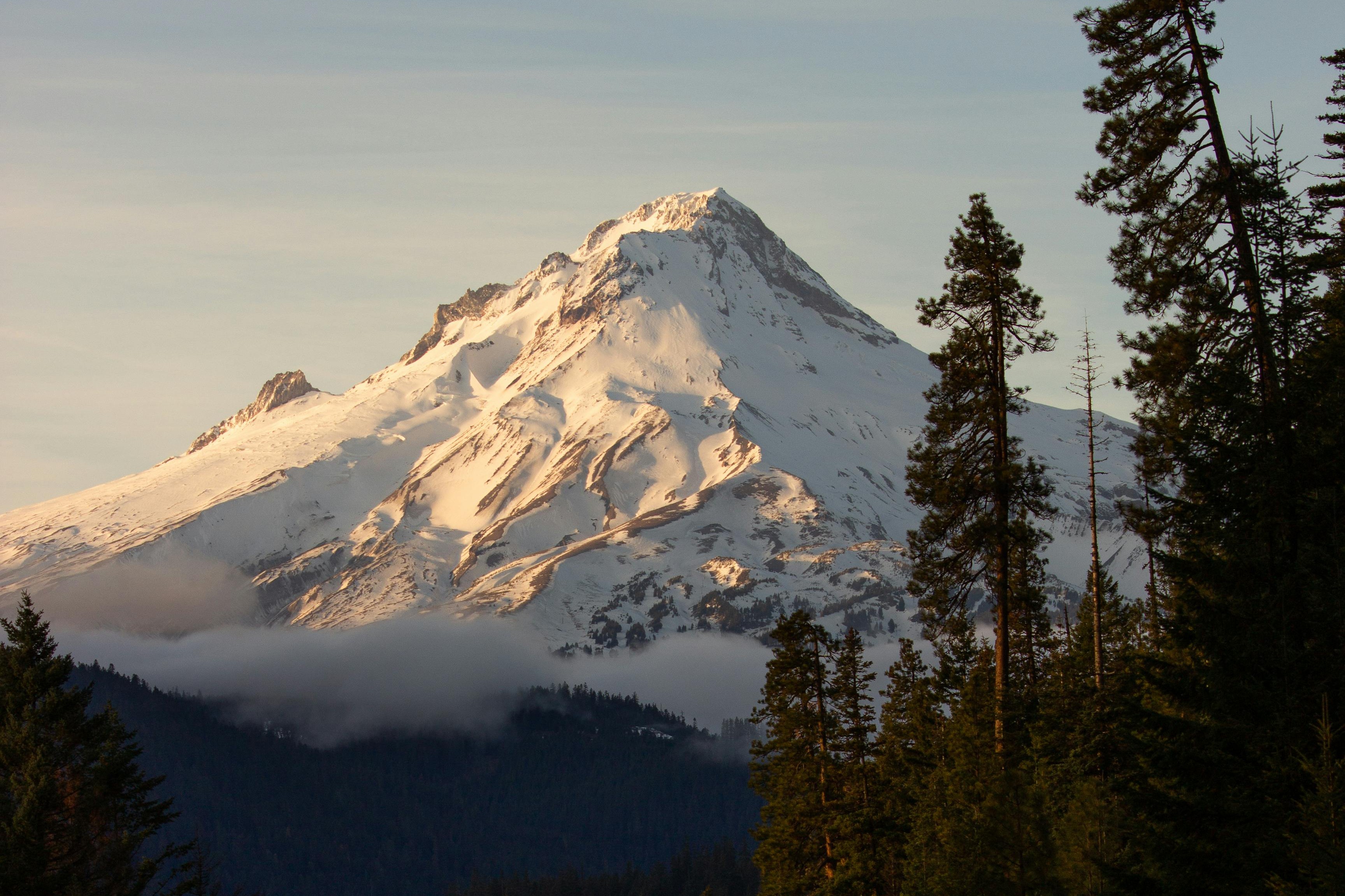 Mt. Hood & Columbia River Gorge Day Tours | Wildwood Adventures