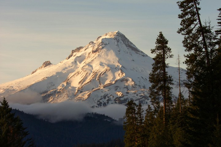Snow-capped mountain peak with surrounding forest at sunrise.